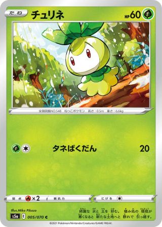 チュリネ 005/70 — 双璧のファイター Pokémon card