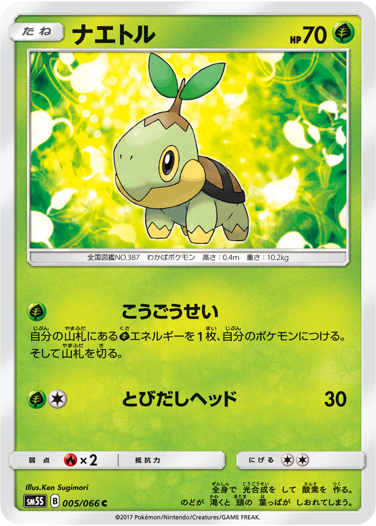 ナエトル