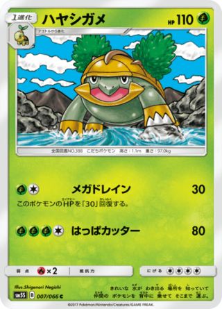 ハヤシガメ 007/66 — Ultra Prism Pokémon card
