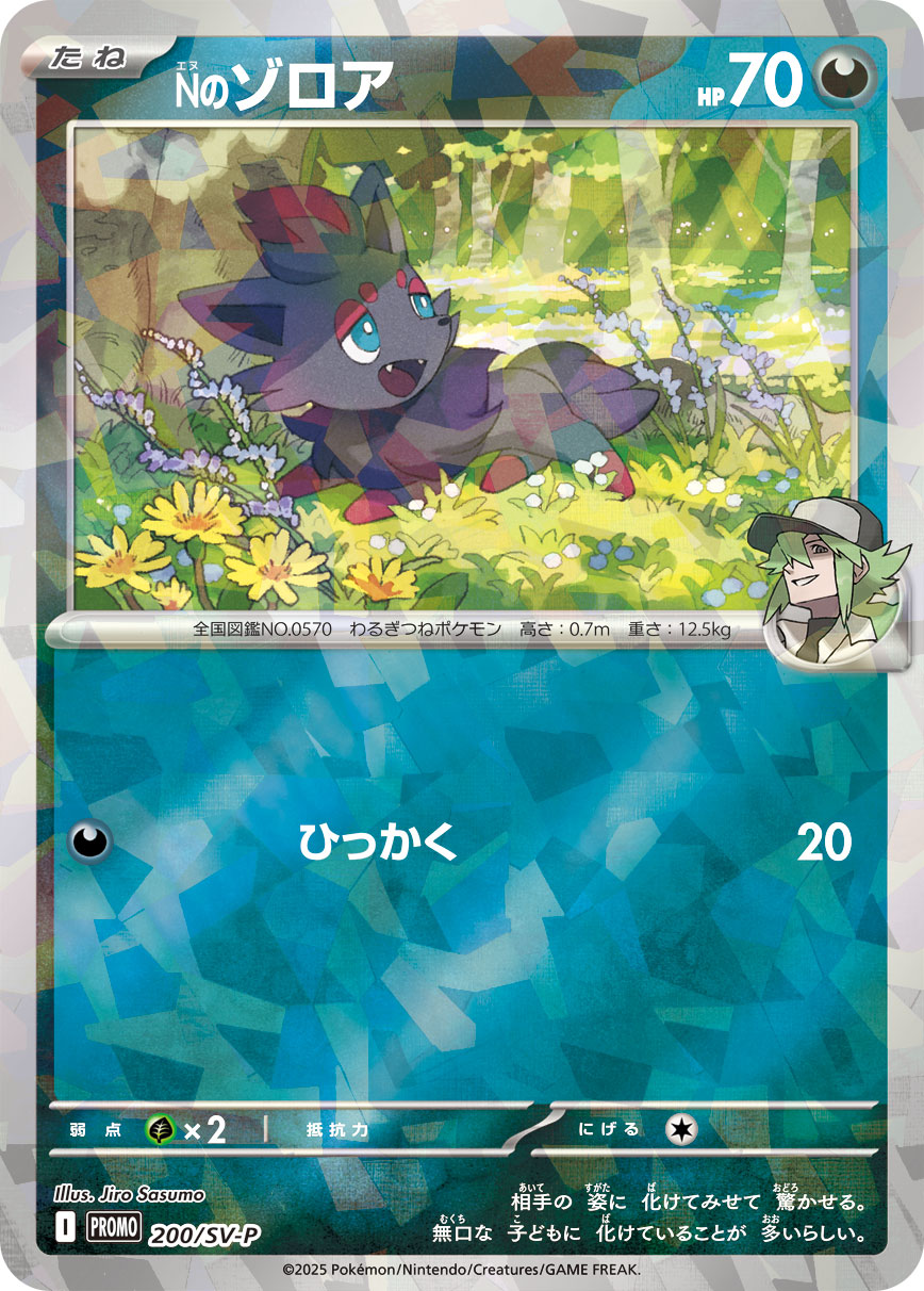 Nのゾロア 200/288 — スカーレット&バイオレット プロモカード Pokémon card