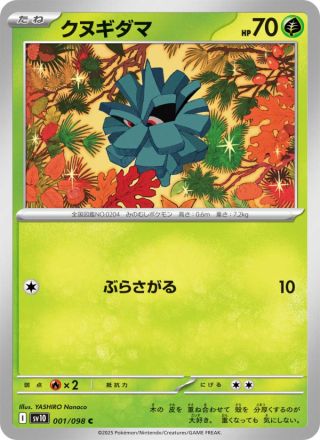 クヌギダマ