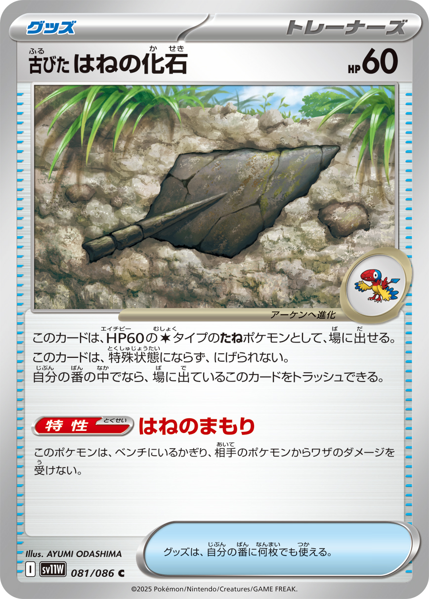 古びたはねの化石