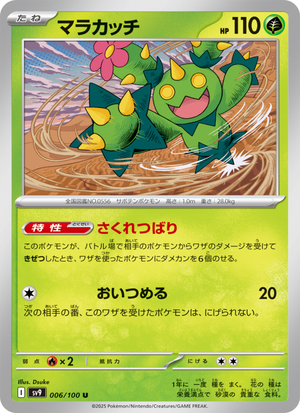 マラカッチ