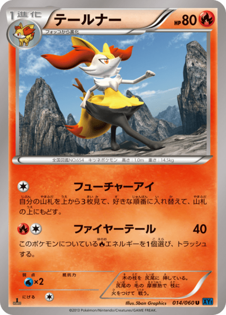 テールナー 14/60 — XY (Collection X) Pokémon card