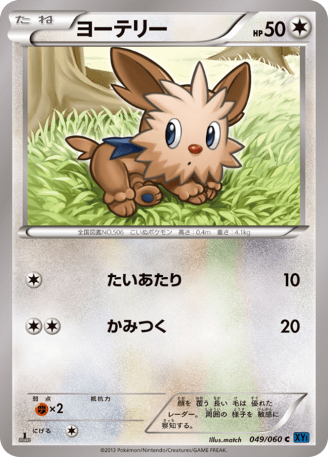 ヨーテリー 49/60 — XY (Collection X) Pokémon card
