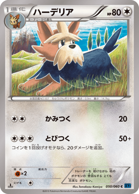 ハーデリア 50/60 — XY (Collection X) Pokémon card