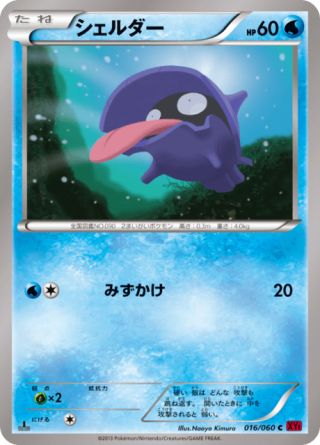 シェルダー 16/60 — XY (Collection Y) Pokémon card