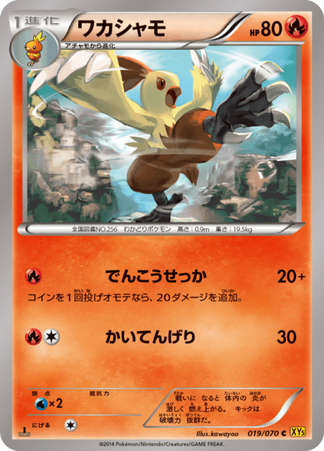 ワカシャモ 19/70 — Primal Clash Pokémon card