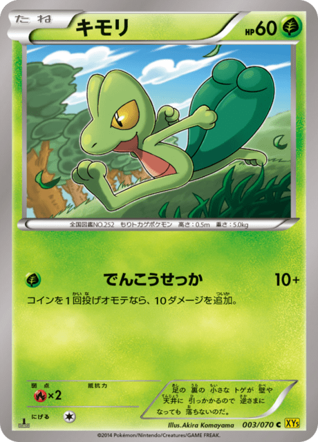 キモリ 3/70 — Primal Clash Pokémon card