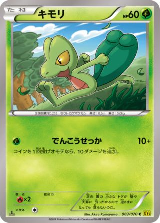 キモリ 3/70 — Primal Clash Pokémon card