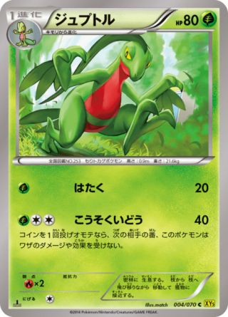 ジュプトル 4/70 — Primal Clash Pokémon card
