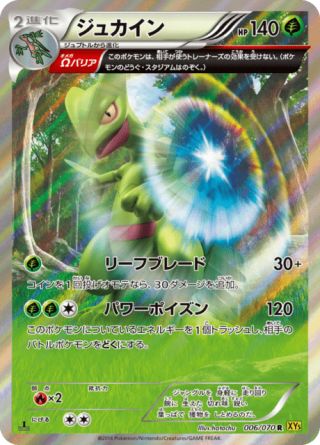 ジュカイン 6/70 — Primal Clash Pokémon card