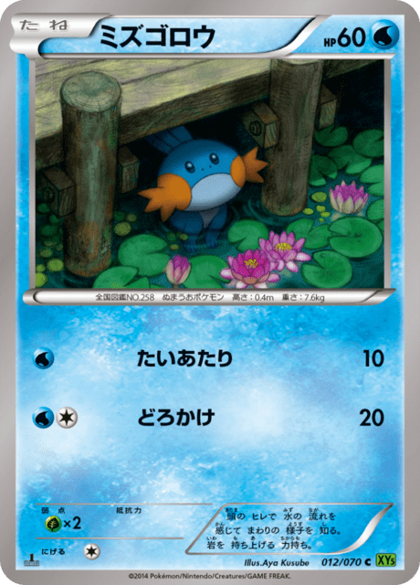 ミズゴロウ 12/70 — タイダルストーム Pokémon card