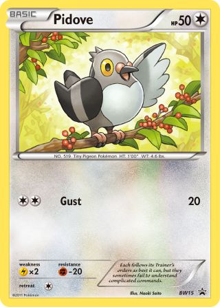 Pidove BW15/101 — BW Black Star Promos Pokémon card