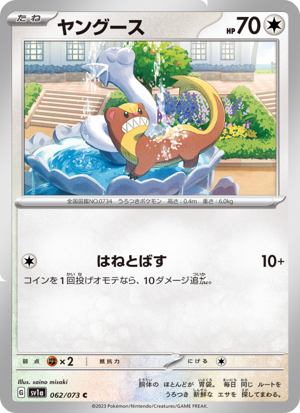 ヤングース