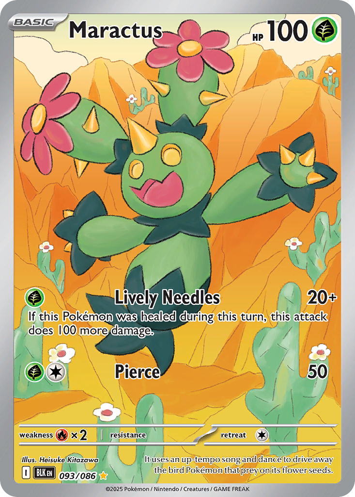 Maractus